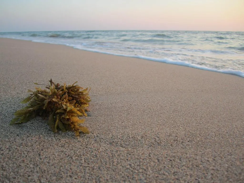 ***  Lanta Il Mare Beach Resort Koh Lanta Thailand